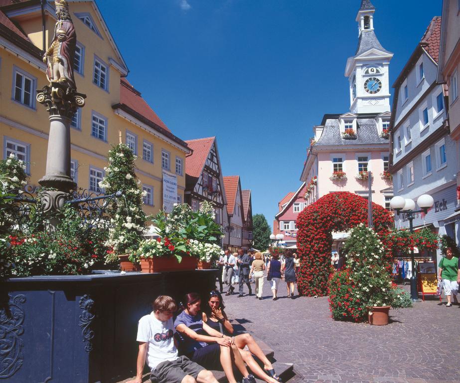 Boutiquehotel Goldhahn Bio Sport & Wellness Aalen Exteriér fotografie